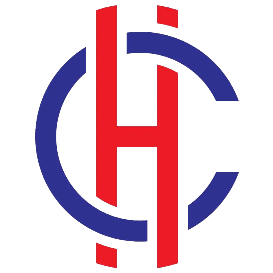 Chasin Heat LLC Logo